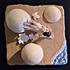 sculpture egg birth venus beach